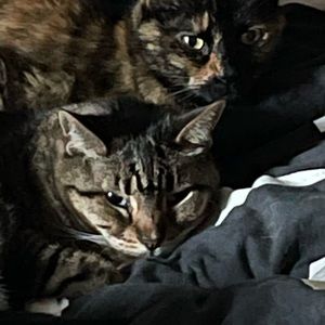 Meet your Posher, Patrick